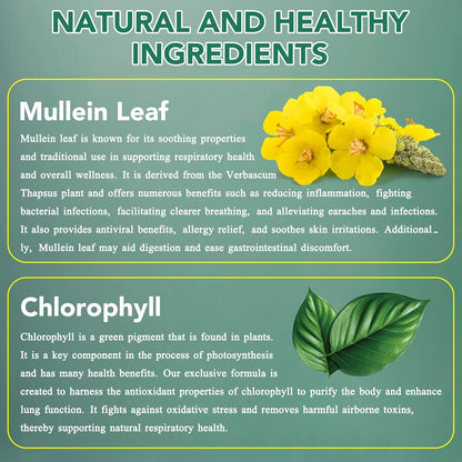 Respiratory Cleanse Mullein Leaf Drops