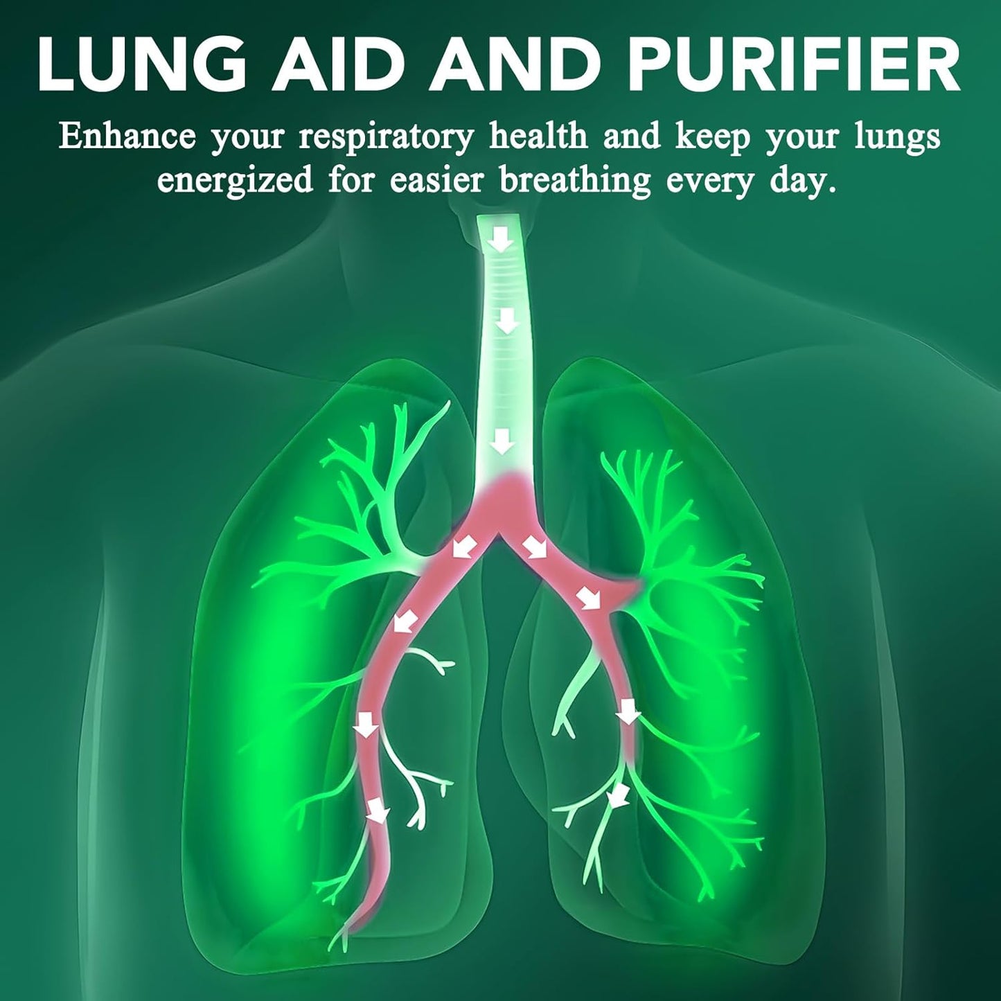 Respiratory Cleanse Mullein Leaf Drops